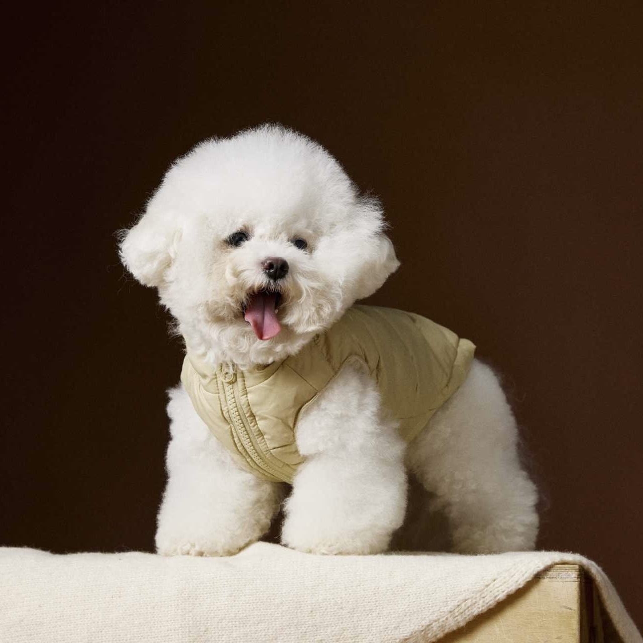 image_FFA31627-1D57-4166-B732-3CAFAD4410BE_1762752235