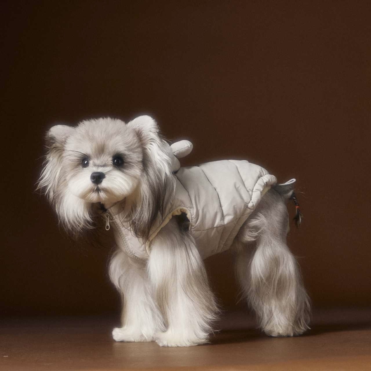 image_26A20569-3D8A-4F0B-8744-A8027801589B_1762752377