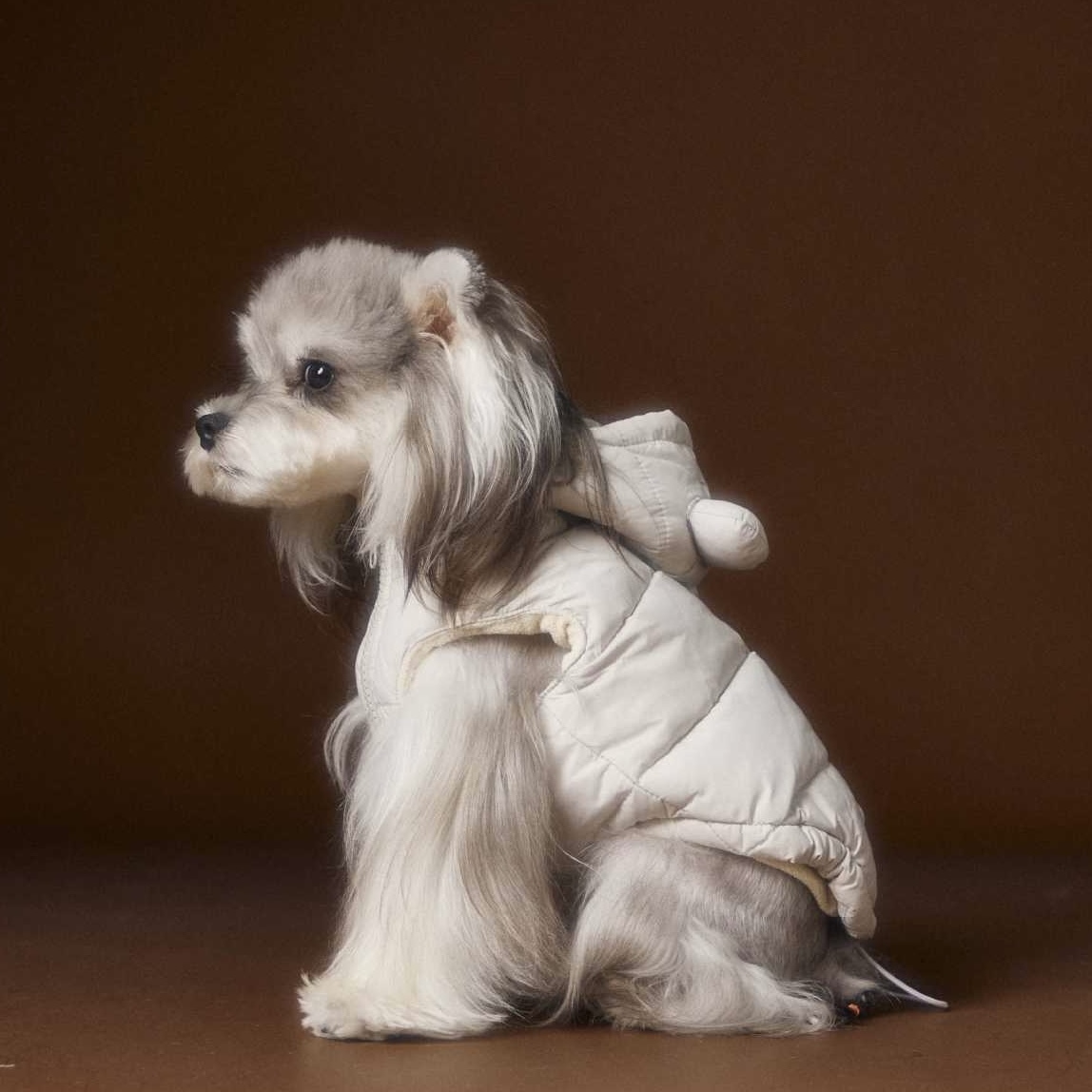 image_BD13A019-F495-48AF-8836-70059A49CDE7_1762752377