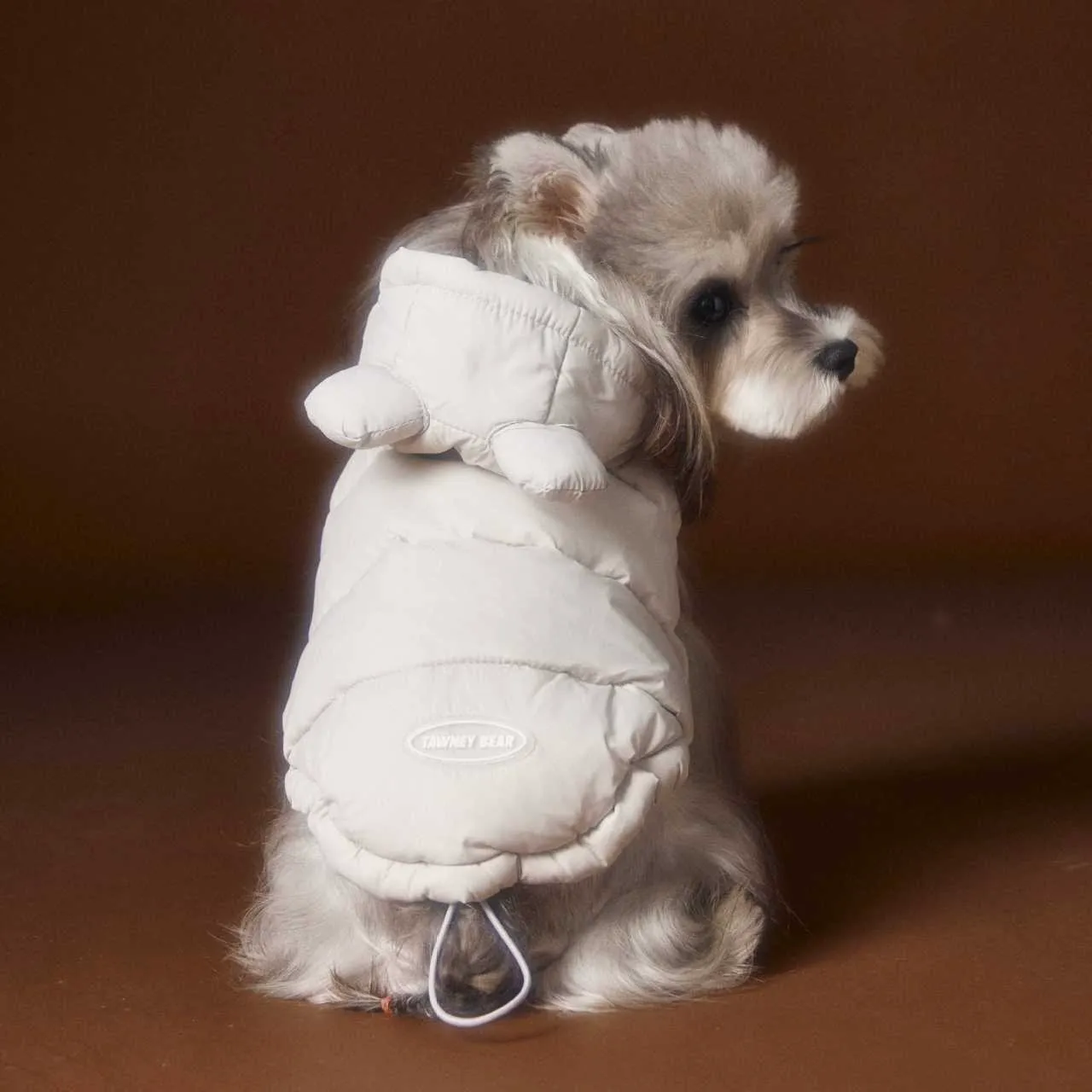 image_23FFD2B2-D0AF-4D19-B5B1-0BE5EAA1F00F_1762752377