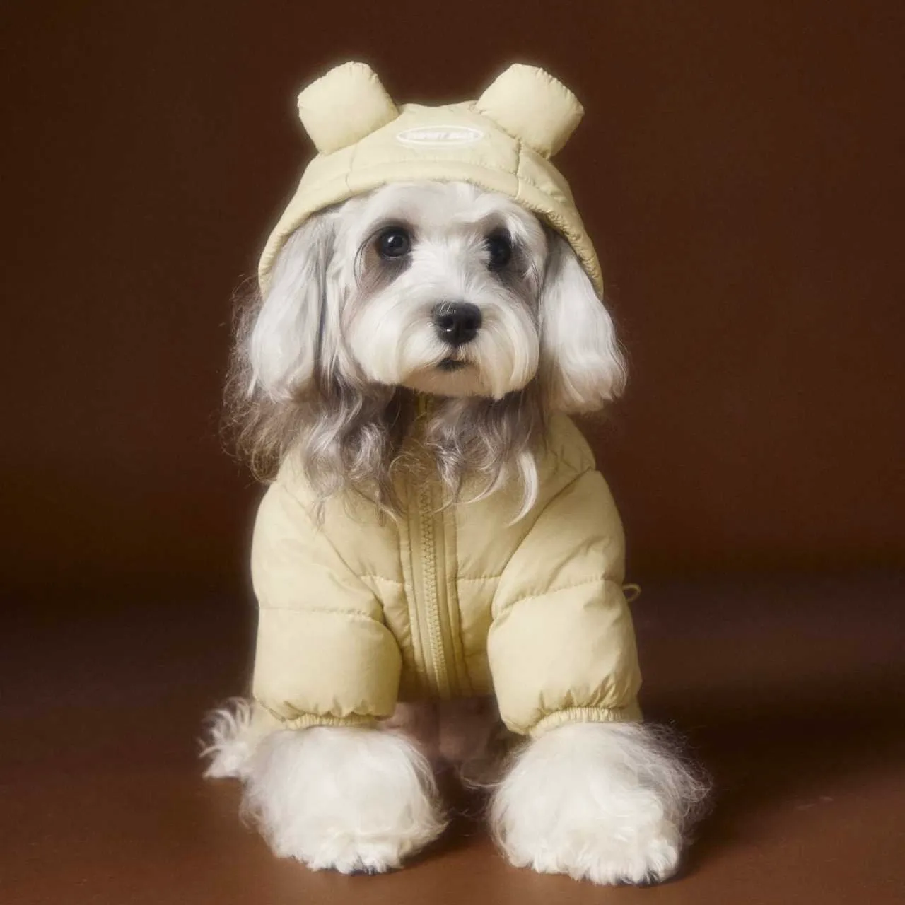 image_18963818-C5A6-4612-8195-505C28408913_1762759831