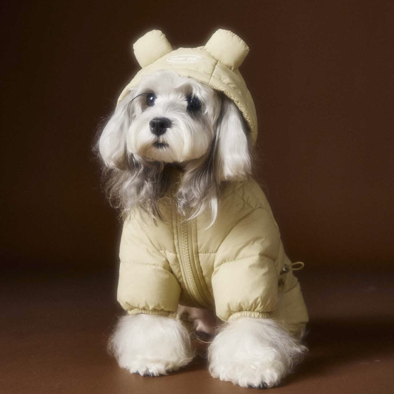 image_3664AB37-B690-490B-8B0B-A4FC94885B5D_1762759831