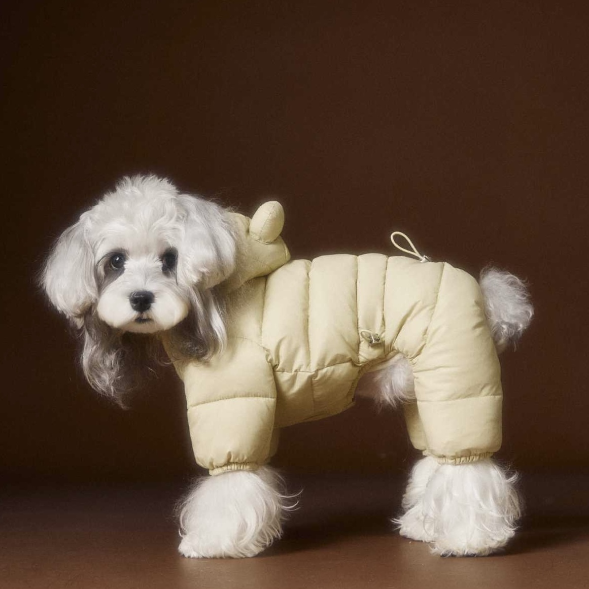 image_C1AFBBEA-80D4-43D0-933F-33BF21D53D4F_1762759831