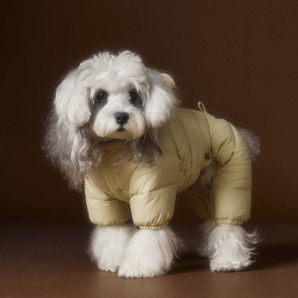 image_9150368D-67C4-416F-96B4-4C00F7D565BA_1762759831