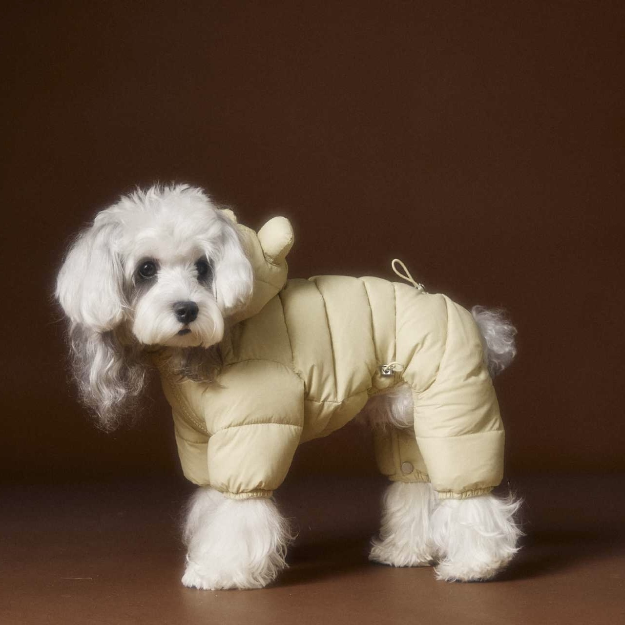 image_C96629DE-8DBF-49BF-B72E-52977329AAC4_1762759832