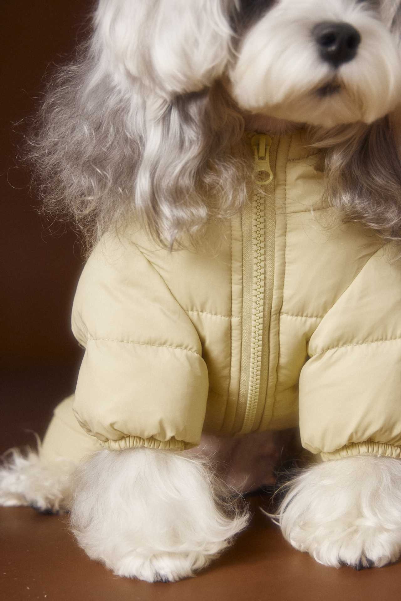 image_154BB171-17B5-4EAD-9042-D762F5D19290_1762759832