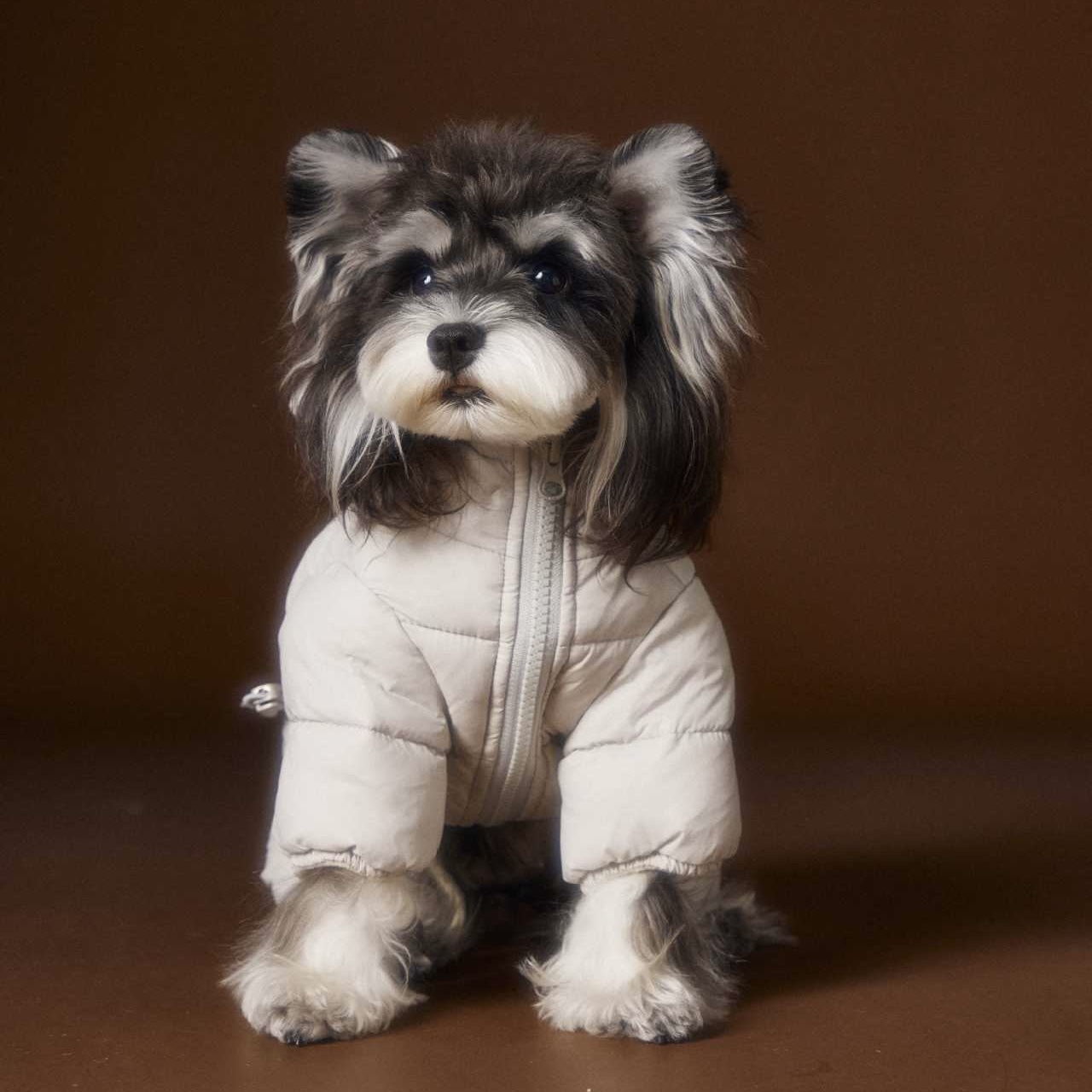 image_CE50EAC4-8799-4042-A058-B8DC66ABBA6F_1762760054