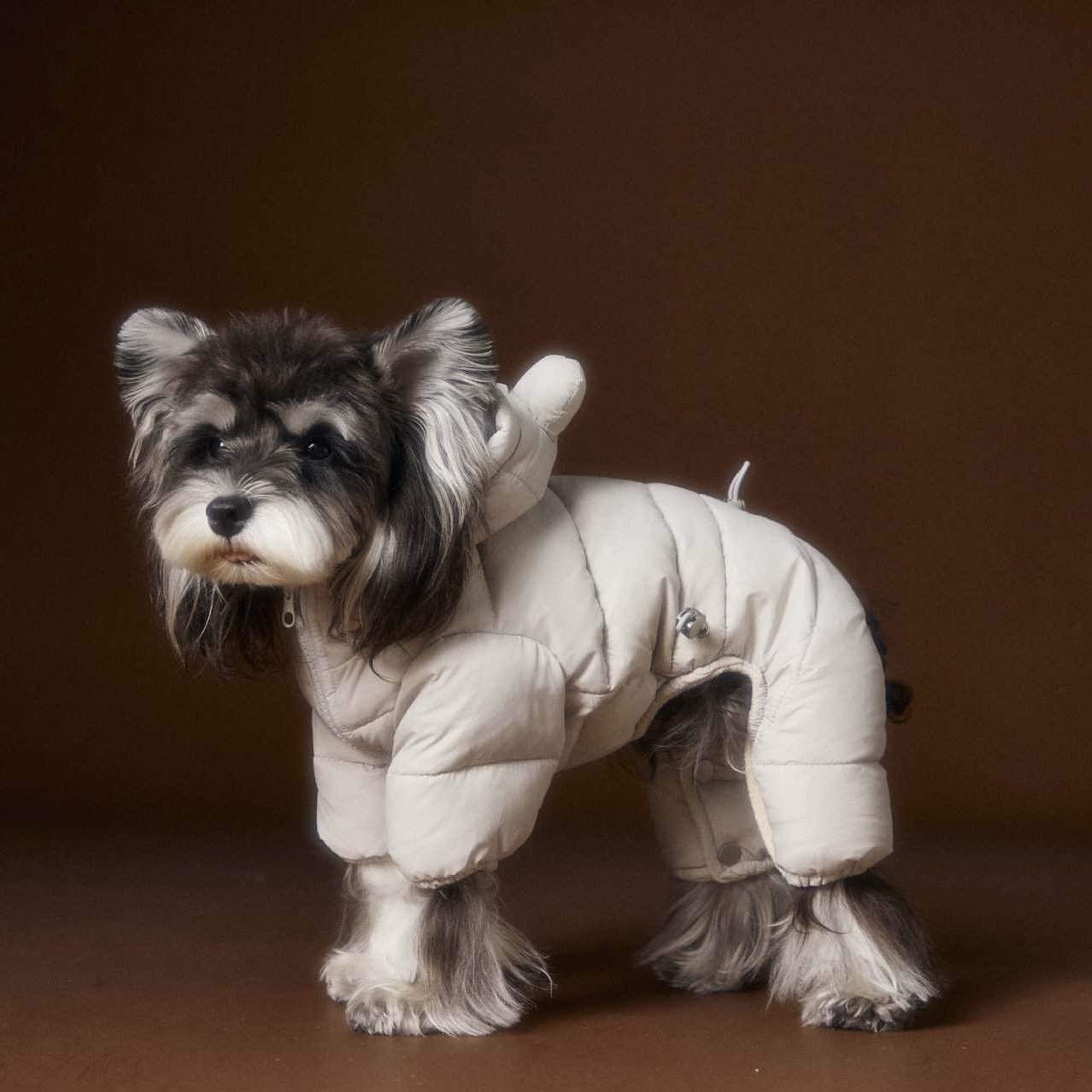 image_F1037E19-2D38-4461-BD53-B82ED9330C78_1762760054