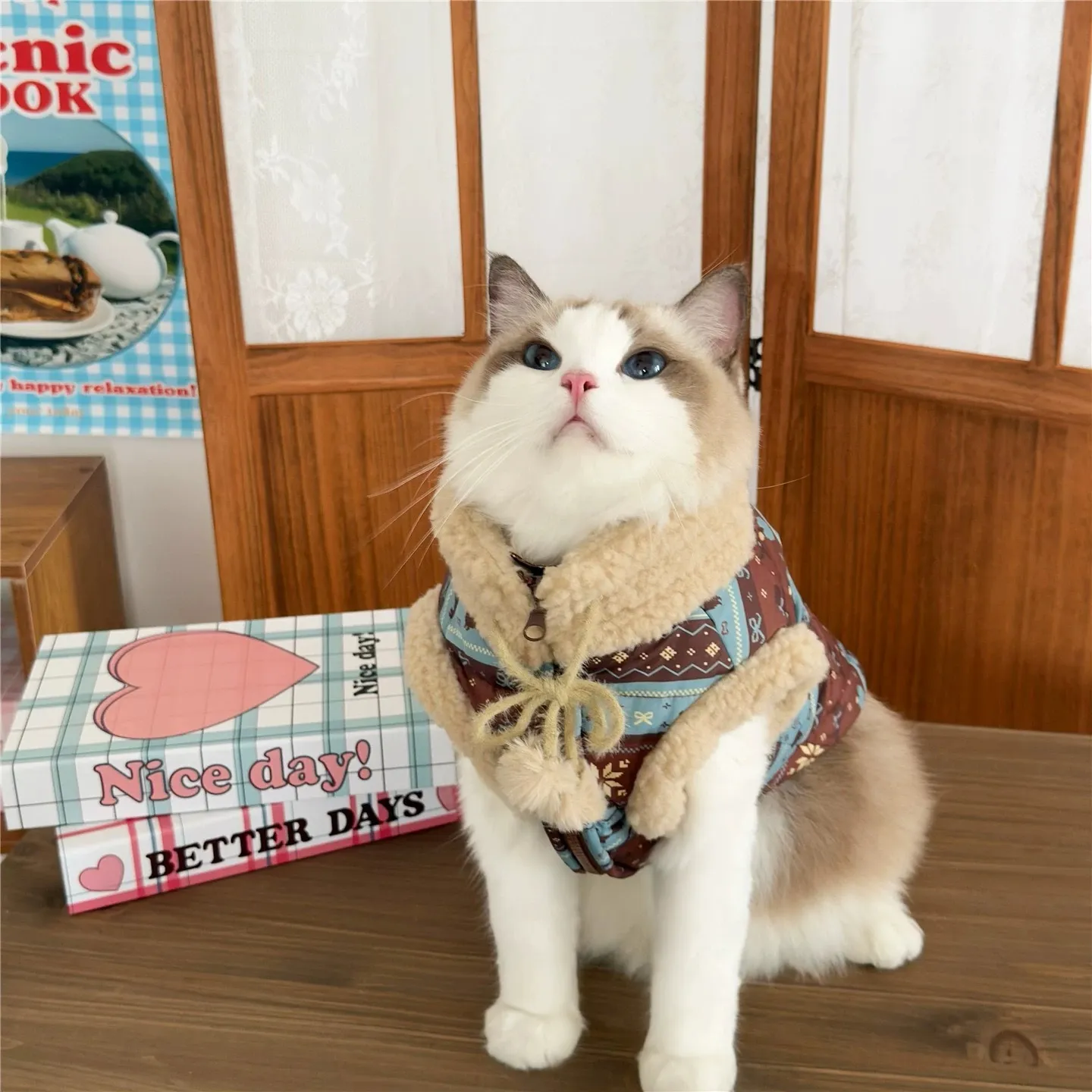 image_61C77CB6-20AF-48EC-8349-B64300A3F4BF_1762762794