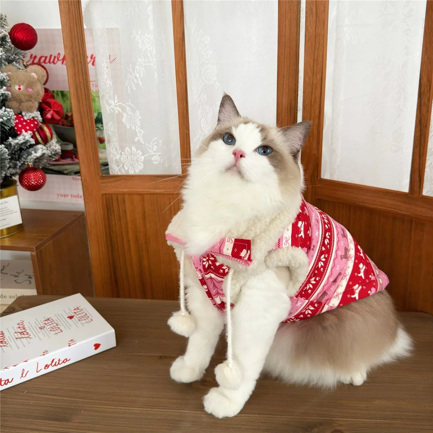 image_C0FCC116-ACC6-413A-B324-F4F266AE1B82_1762762819