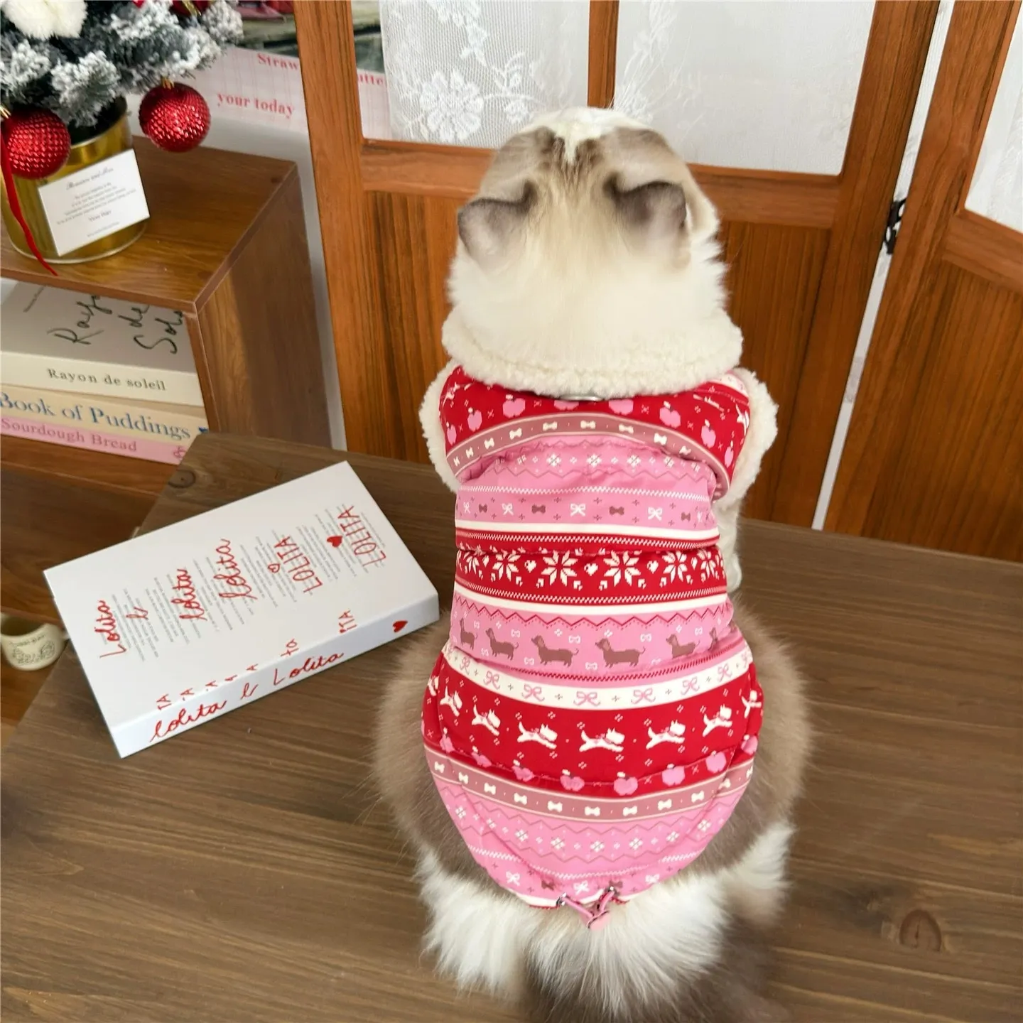 image_E6C3B9FC-1C38-42DA-A827-6298067F4948_1762762819