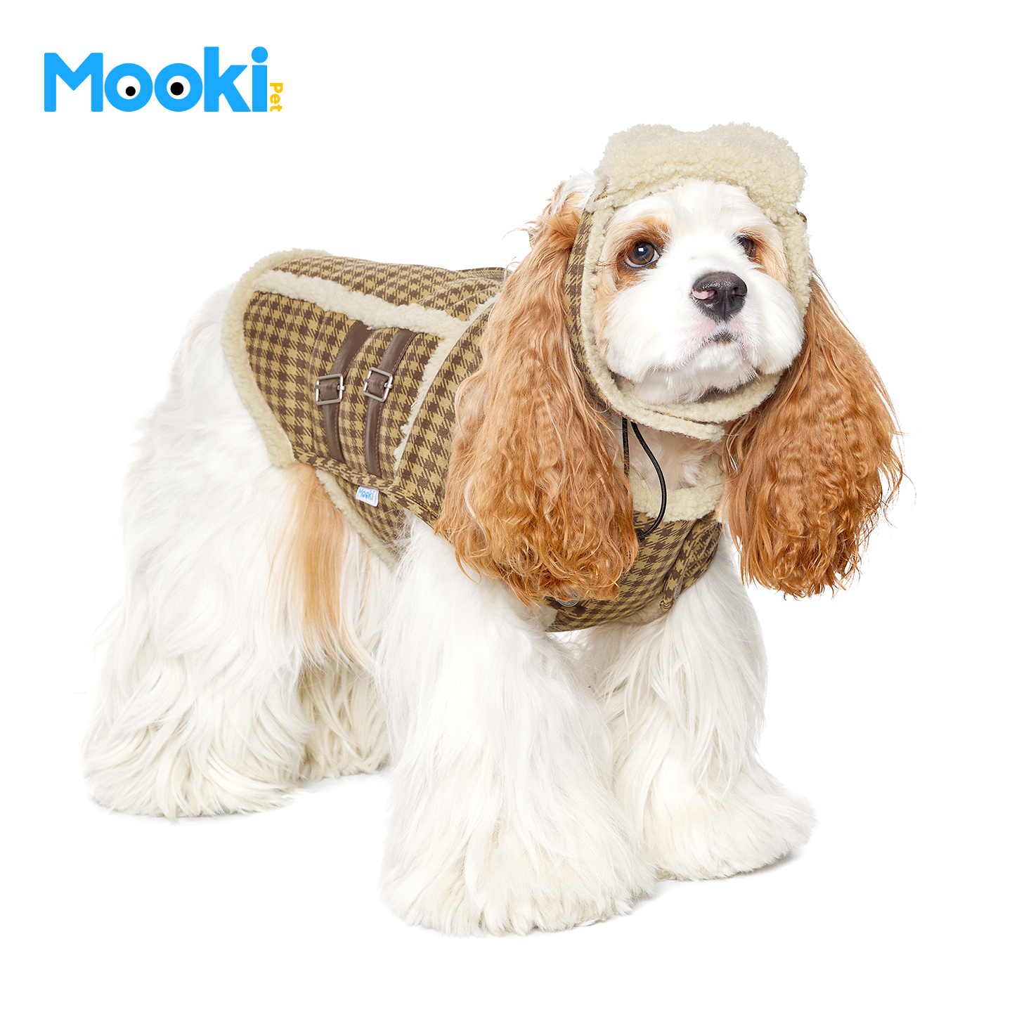 image_8D9207AF-DA58-4267-899D-F95D1995F0B6_1765859778