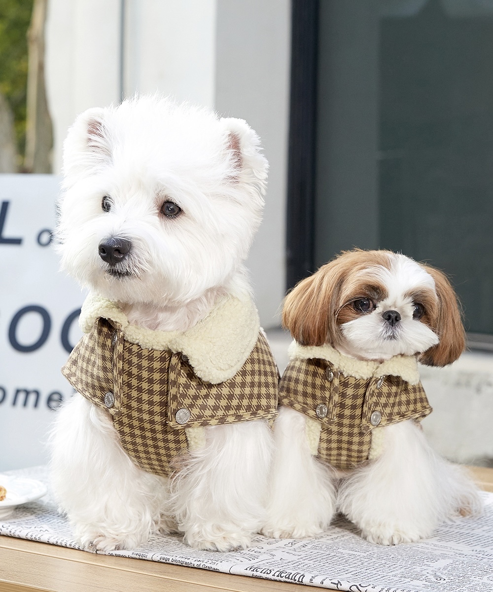 image_E3610347-6DE9-4E54-B414-729EAA273CFC_1765859778