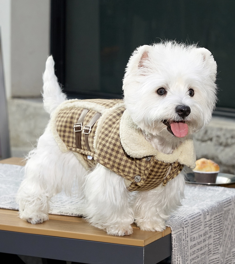 image_04EABF1B-5F46-40A1-81E8-9F7EC96B36E8_1765859778