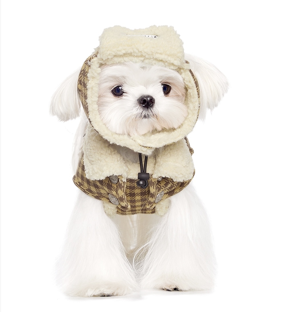 image_B35669A7-F168-44B3-81CF-636F700FB0F1_1765859778