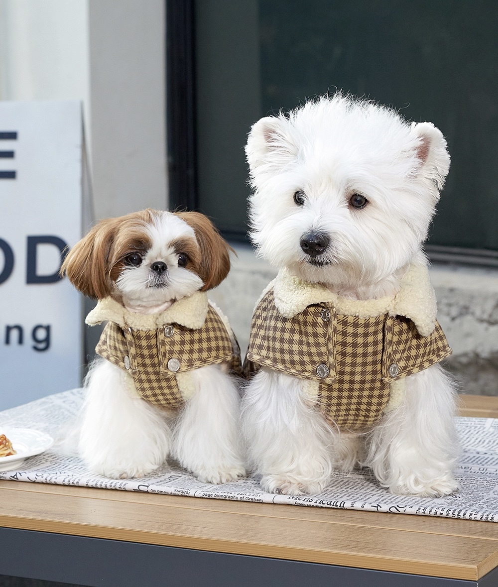 image_6BA88103-12A8-477F-B8B1-15848D3EE69C_1765859778