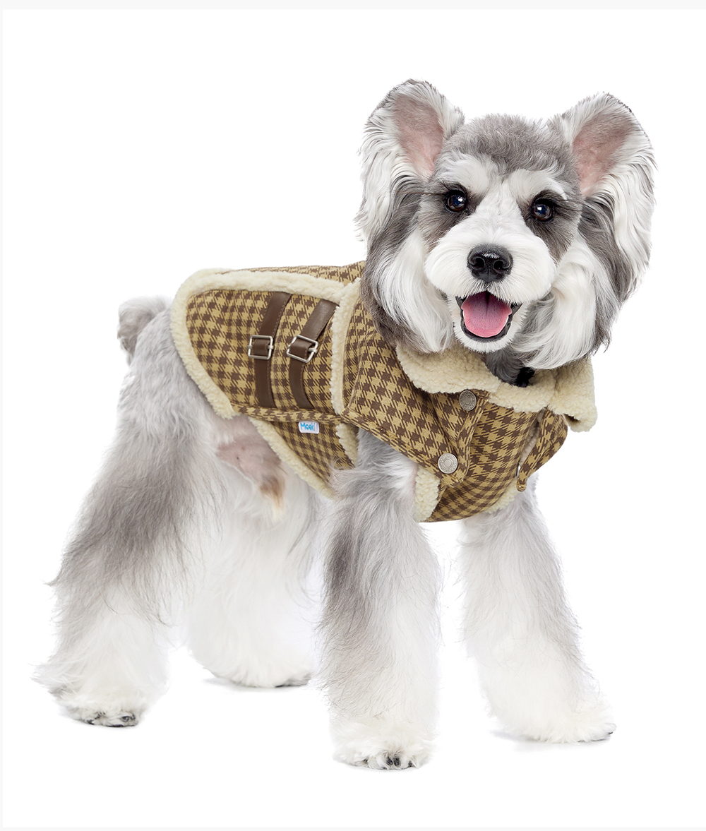 image_31F24539-EAC1-4FBA-BA58-E730E8ABBB25_1765859779