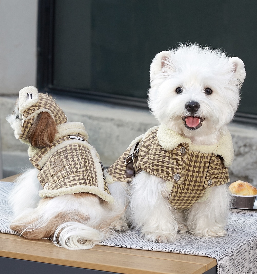 image_CB3ACAD2-E5AB-45D9-AE89-CD3A51BCC81E_1765859779