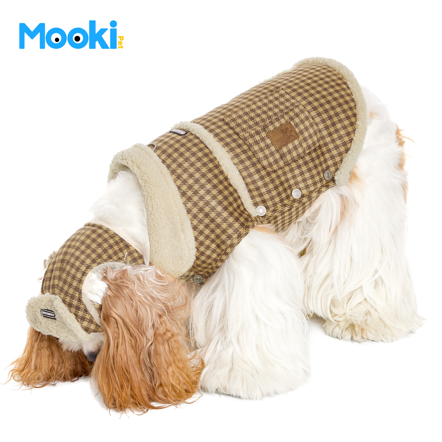 image_2A44A5EC-CCEE-4C9E-B2B7-8DA092EF9ABC_1765859779