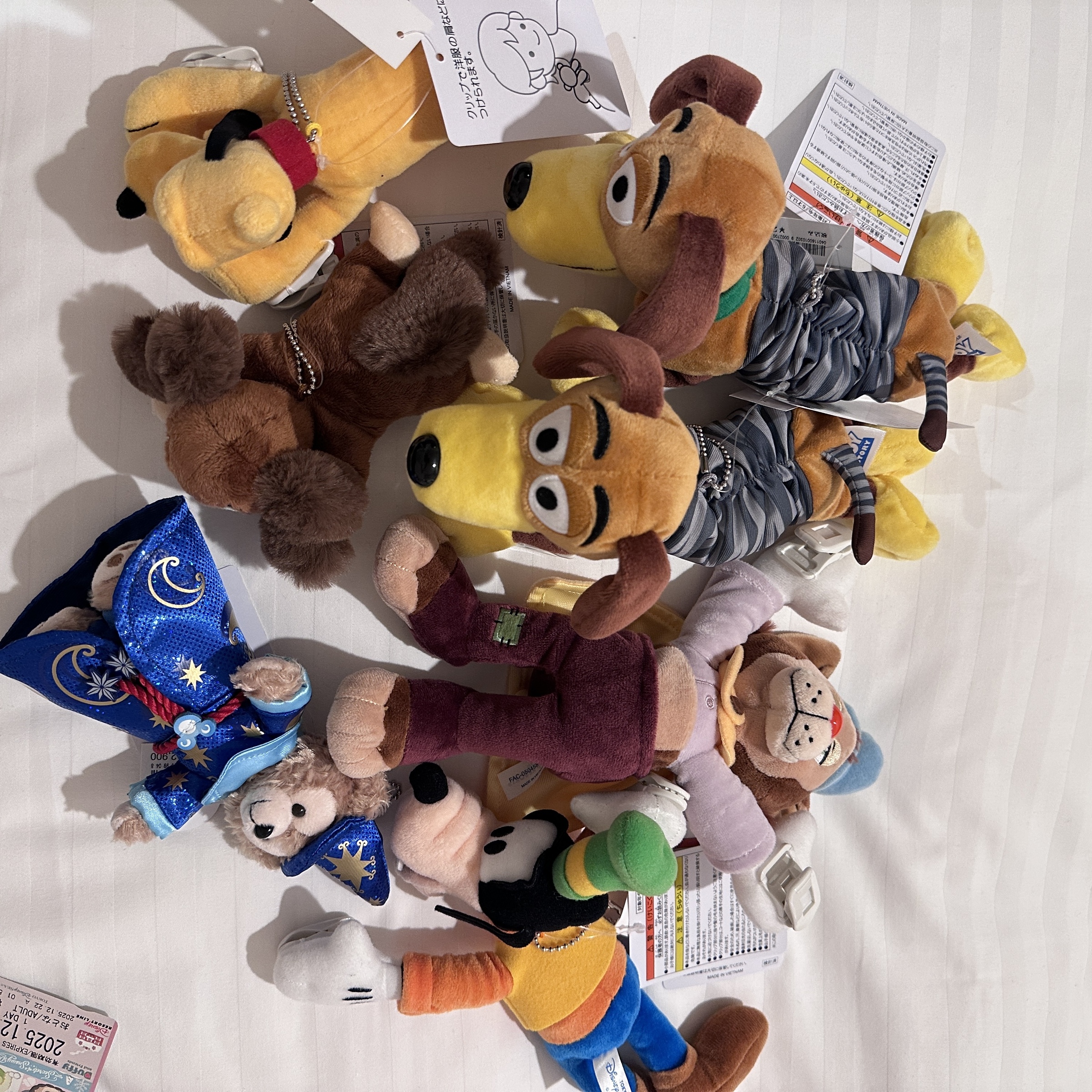 image_2F7300FE-588A-4971-B966-FB6972756AF7_1766450101