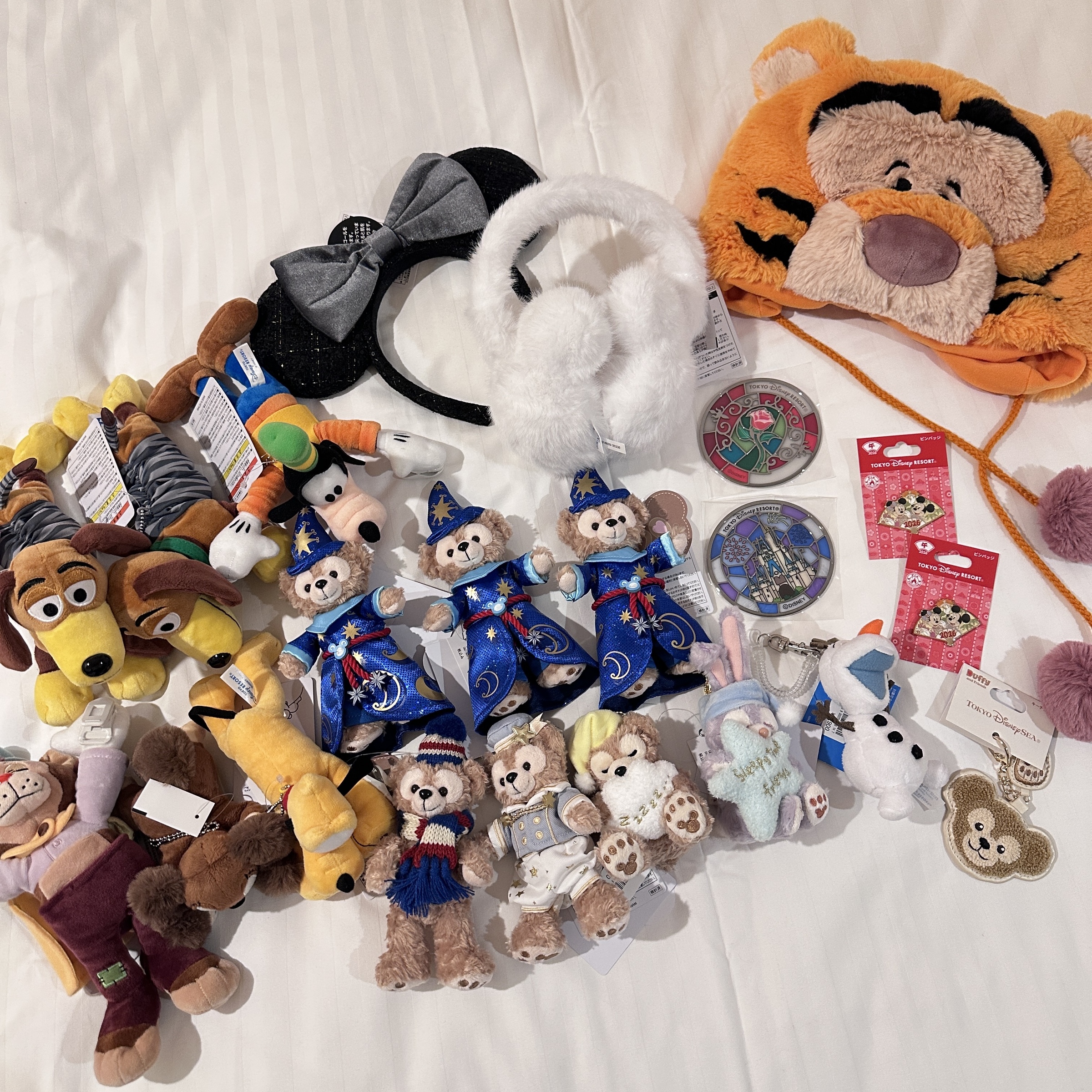 image_62D745D8-7D6D-49E4-A435-3D5661DD58EC_1766450101