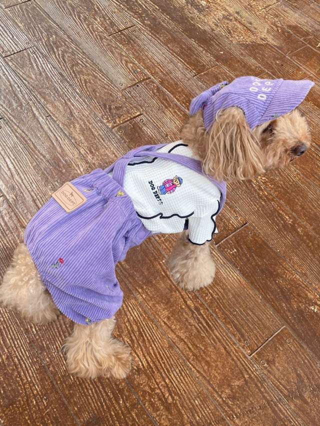 image_37C59DB2-308C-4590-A74B-0C64F4605358_1766450178