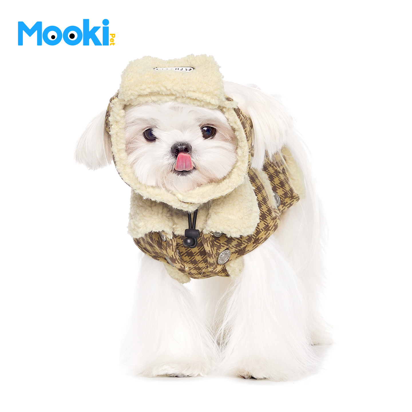 image_F7757769-1B96-4F8D-BEA7-AE7218ADE43C_1765859778