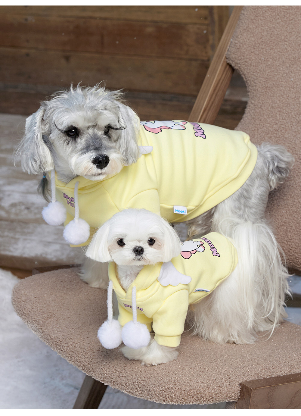 image_085F1A8F-9D07-4112-A344-DAC768BEA3DE_1767418626