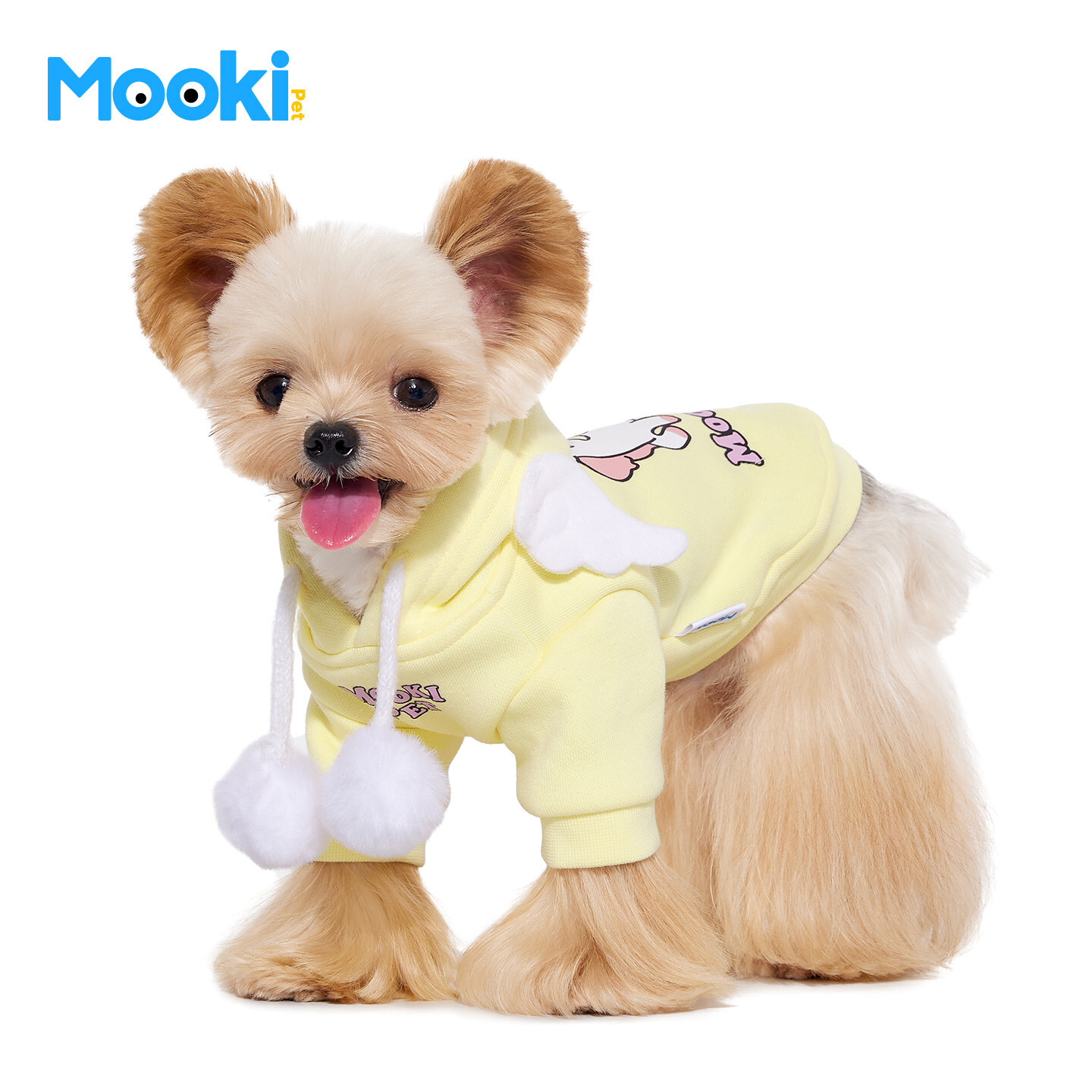 image_8E82C3FA-A684-4AAF-B208-6A1C845E4F10_1767418626