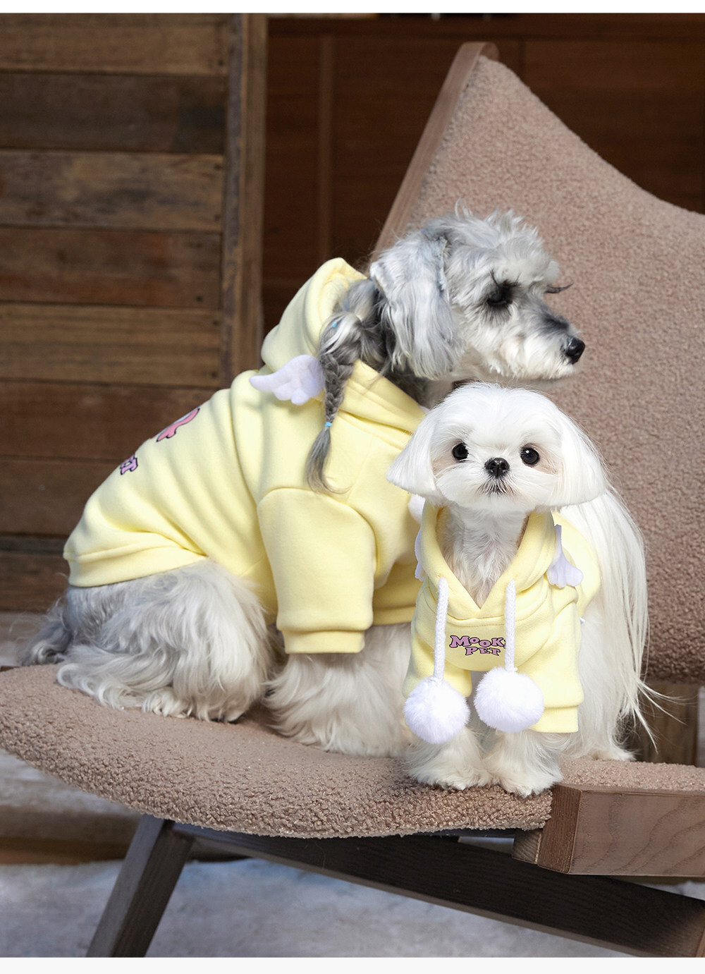 image_3A244560-F44B-4ADB-80BF-ECFB9DD07C5C_1767418626