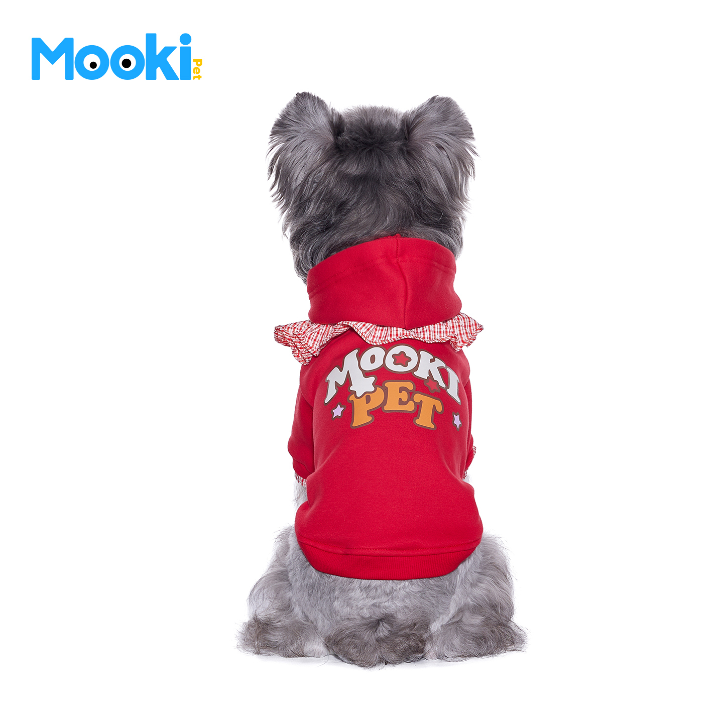 image_CFD5BC1B-5746-4998-A137-F6AAAC84EEF5_1767419382