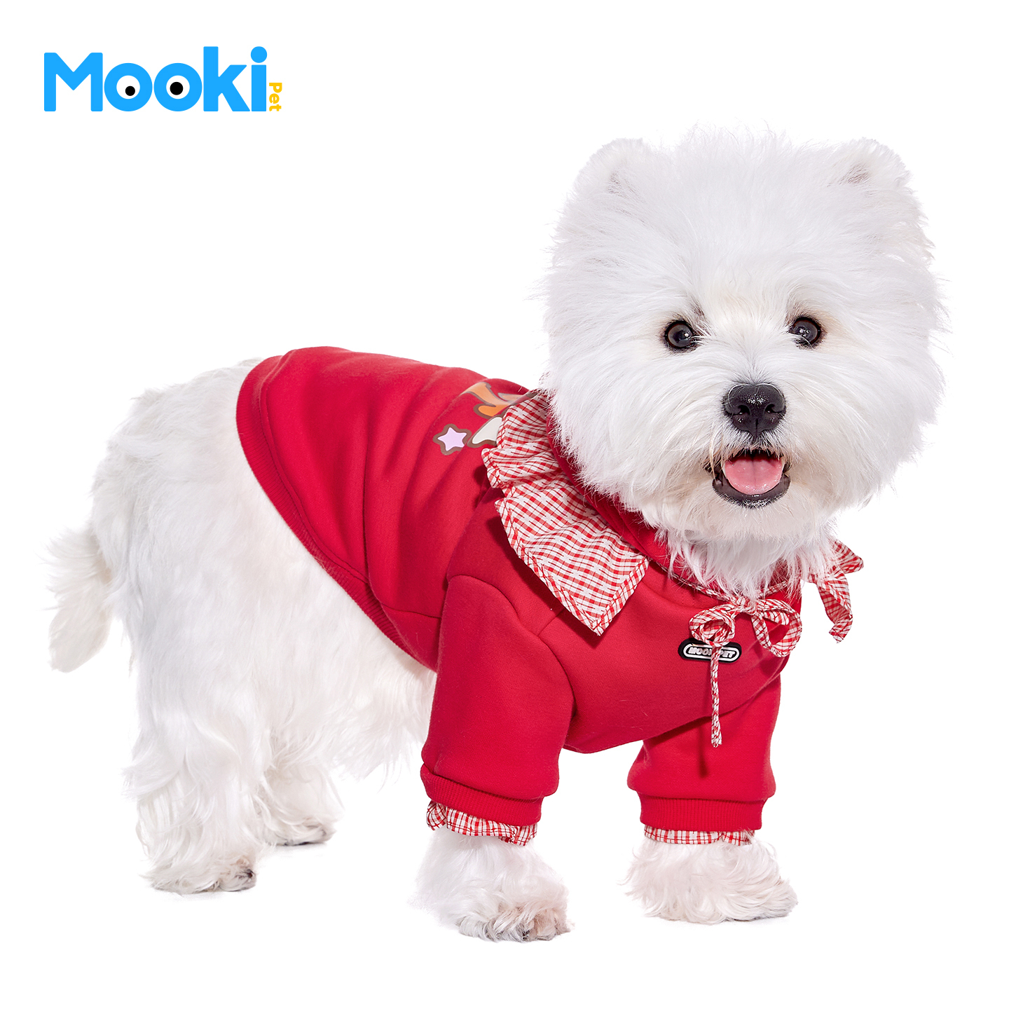 image_952A324C-4091-4937-BDE8-9CB36947E6CB_1767419382