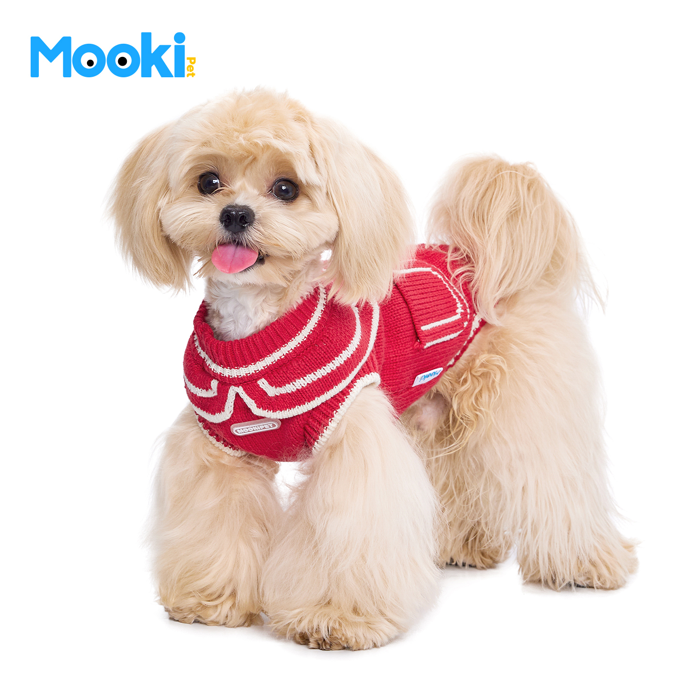 image_16CB02F9-9E94-400B-874A-7C3AF5AF7497_1767419993