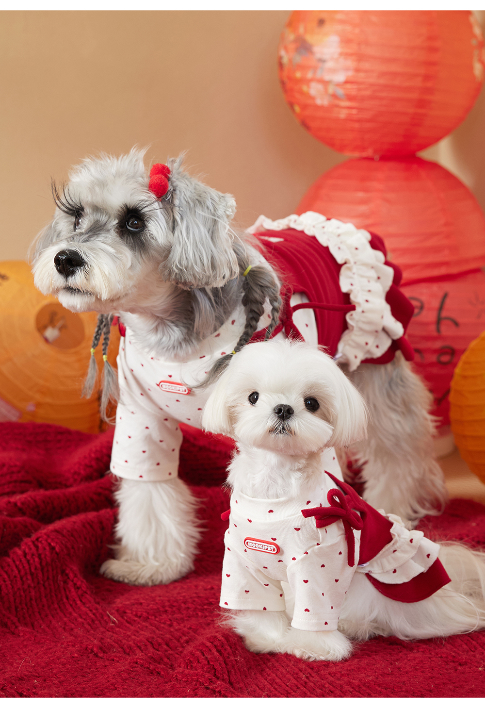 image_41D393D0-EA74-40A0-A4F4-07970C5B4BDB_1767420608