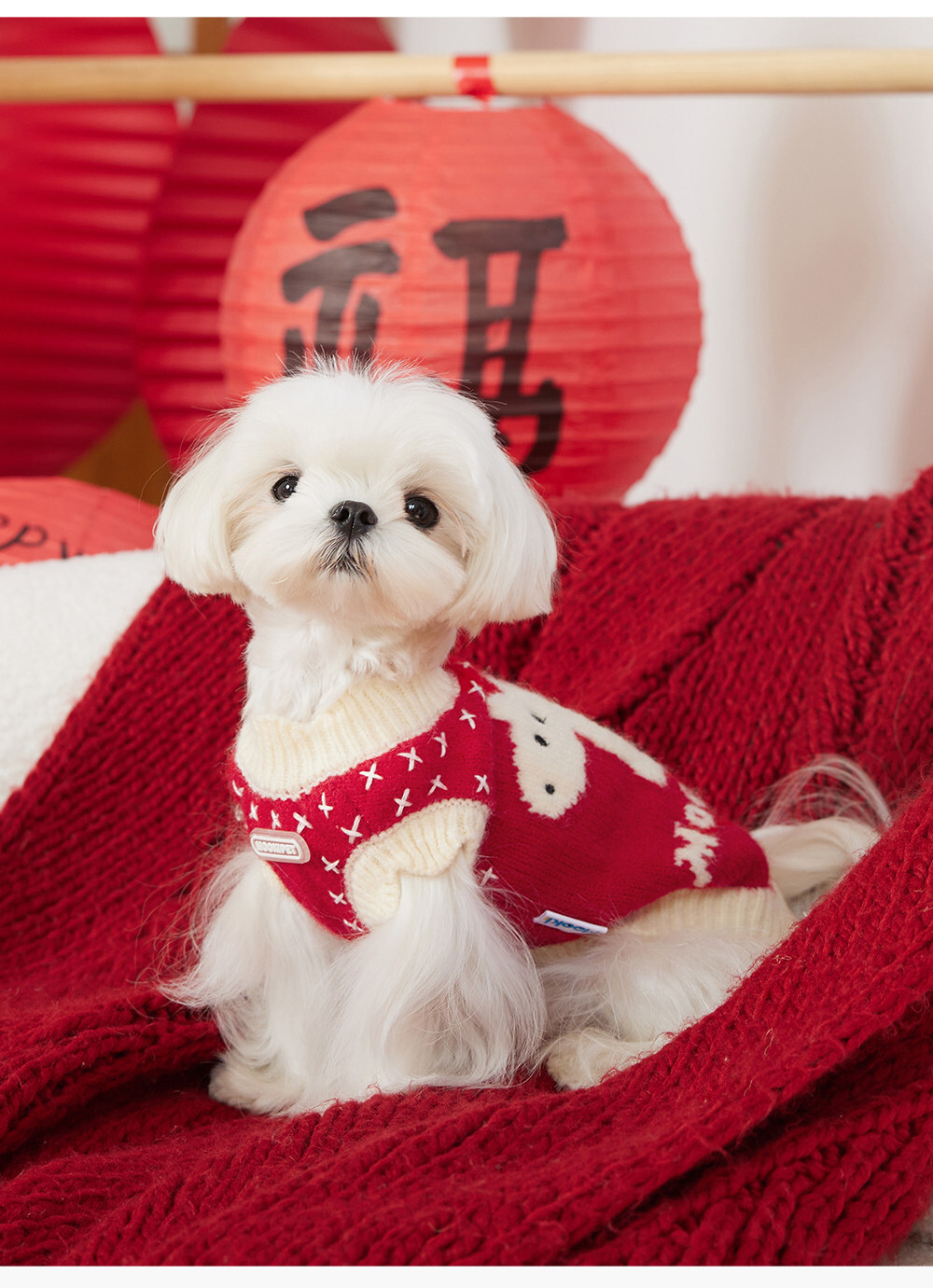 image_CAEC2384-944C-41DA-BB11-DE01A06928D9_1767421218