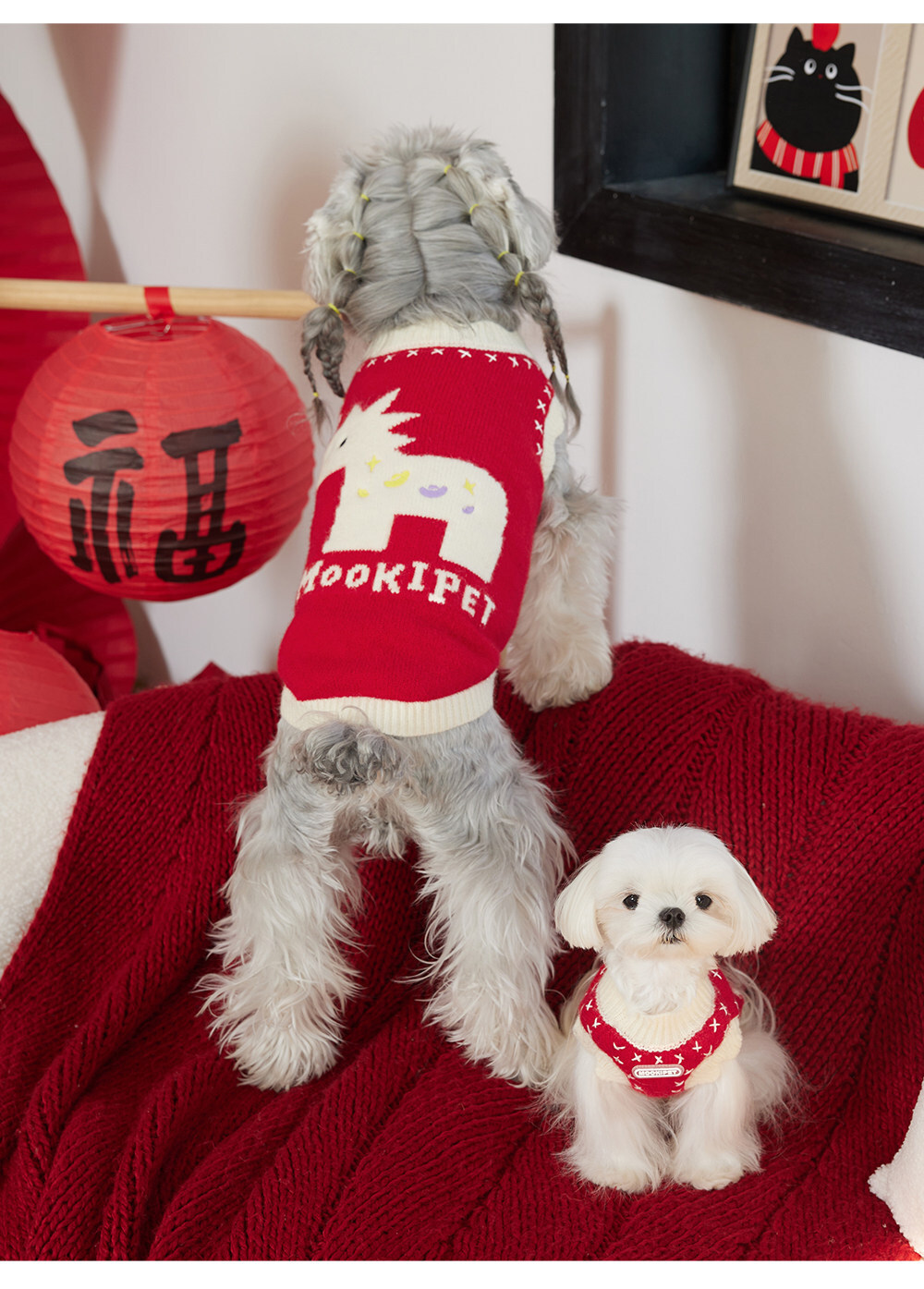 image_8C82CE29-EBB9-4E16-B4D0-88C9B897E0F7_1767421218