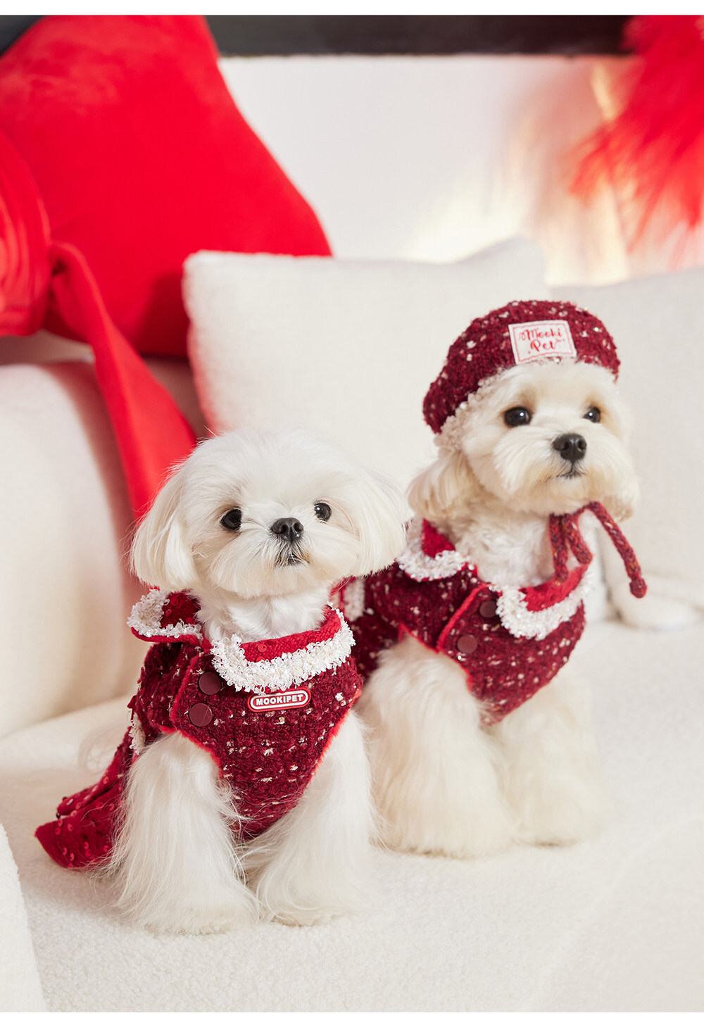 image_5951DDDA-B5EE-4DE4-B301-C822C51F38C7_1767492369