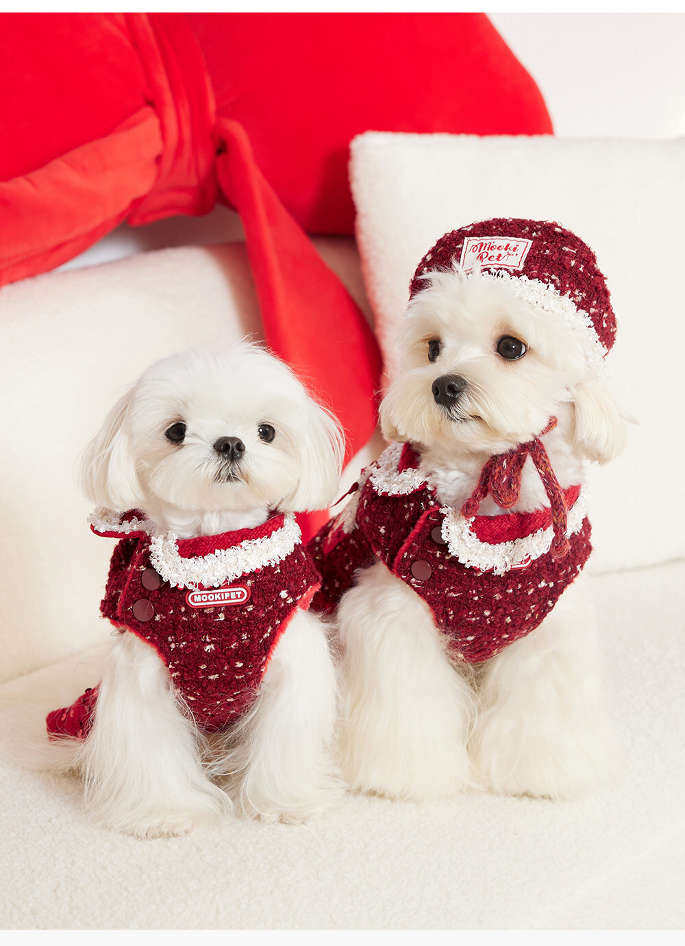 image_7B4608B3-89E0-4364-967A-67016882269A_1767492369