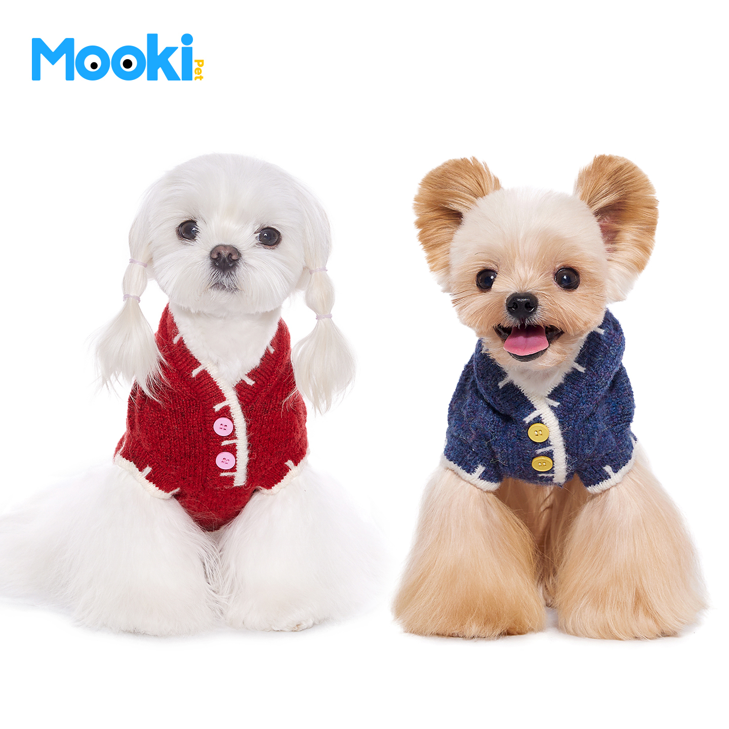 image_4528649C-0F45-4164-A836-508671727725_1767492722