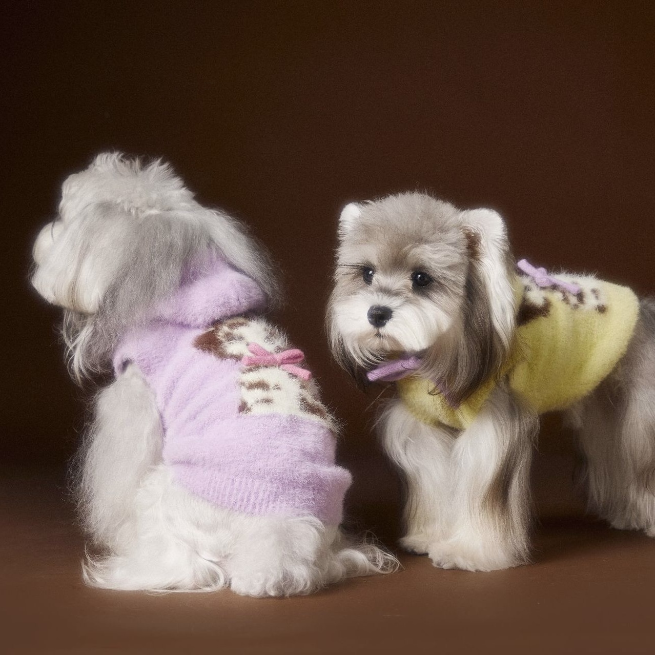 image_74C547D4-2250-4A4F-9B26-3D8426995EBA_1767693334