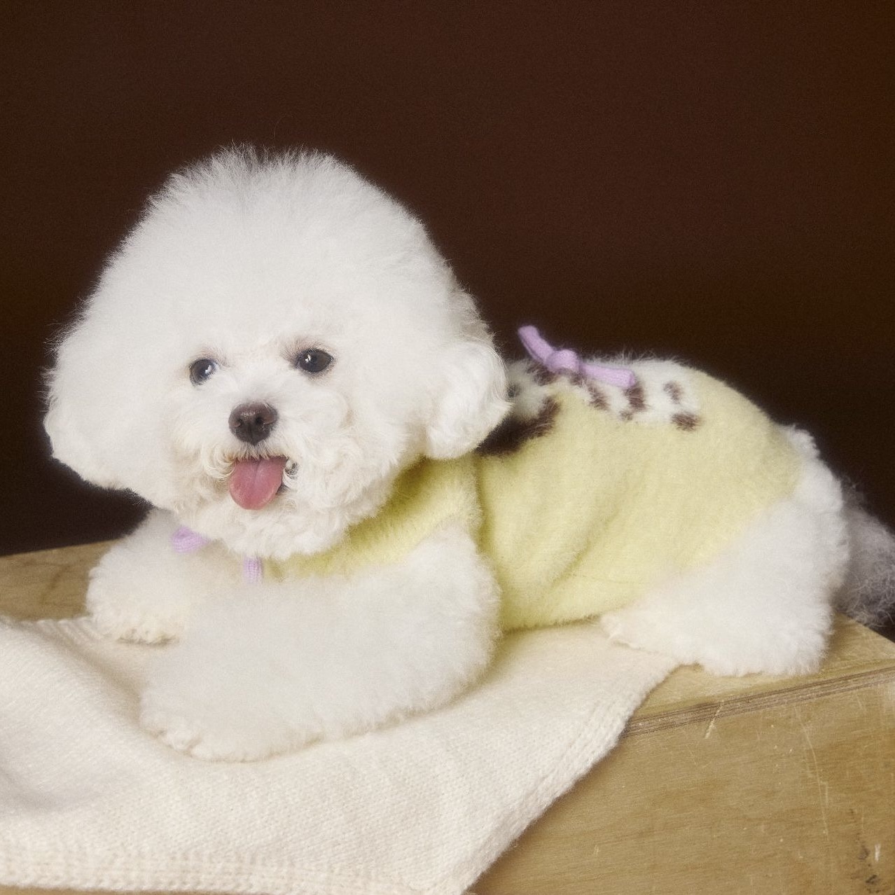 image_BAF56374-7174-47CA-91C8-A01F90CF38A1_1767693334