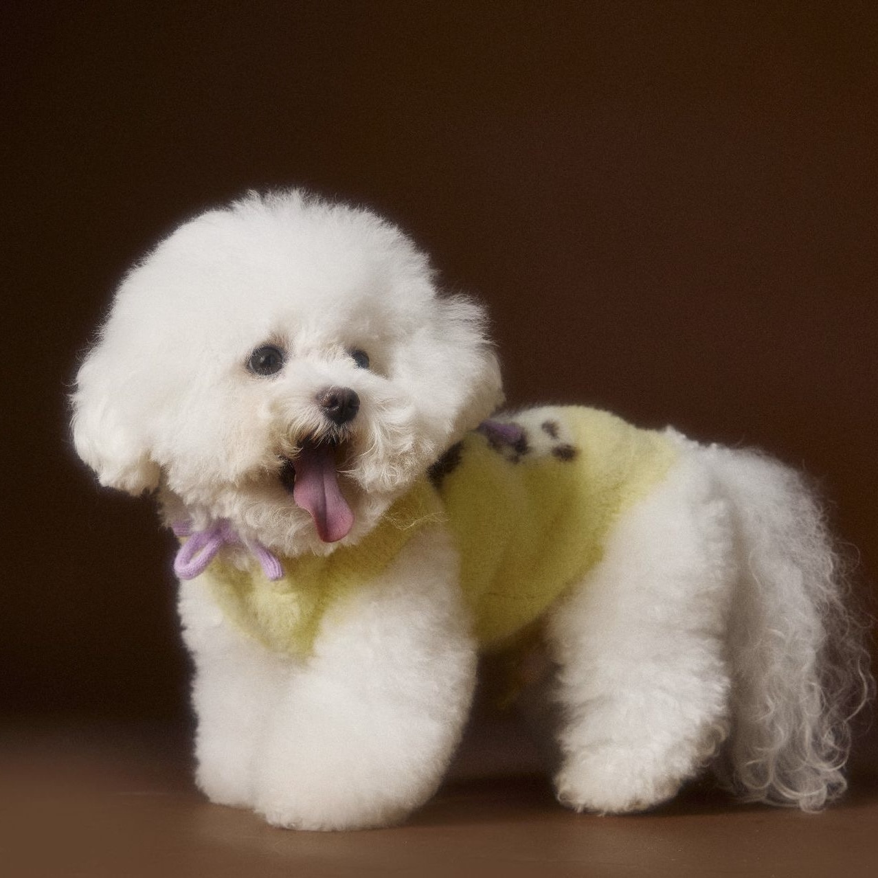 image_080571DA-7765-4A55-8564-70AEFCE7F7FA_1767693334