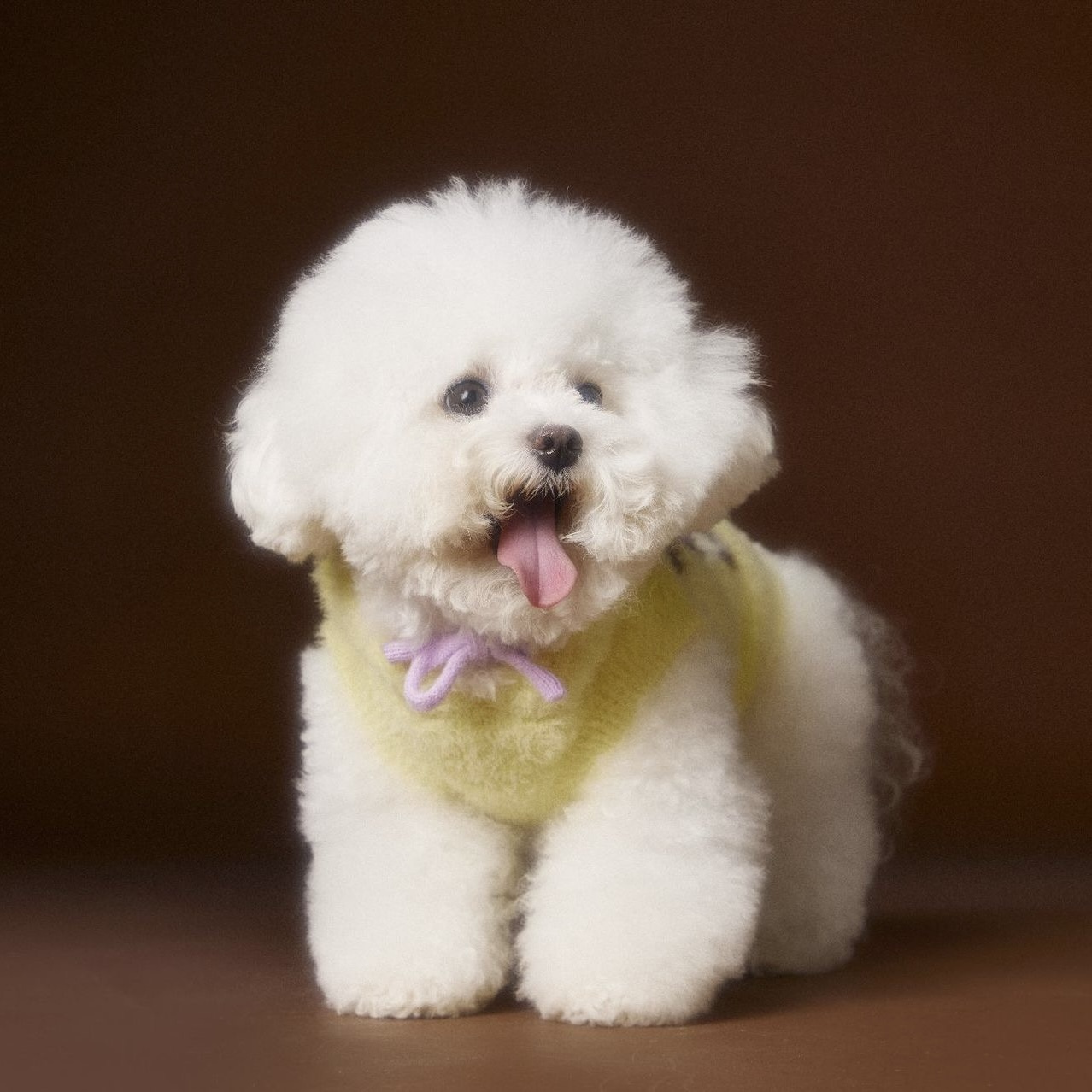 image_BFD90337-345A-4DB0-AB1D-A218BB6170F9_1767693334