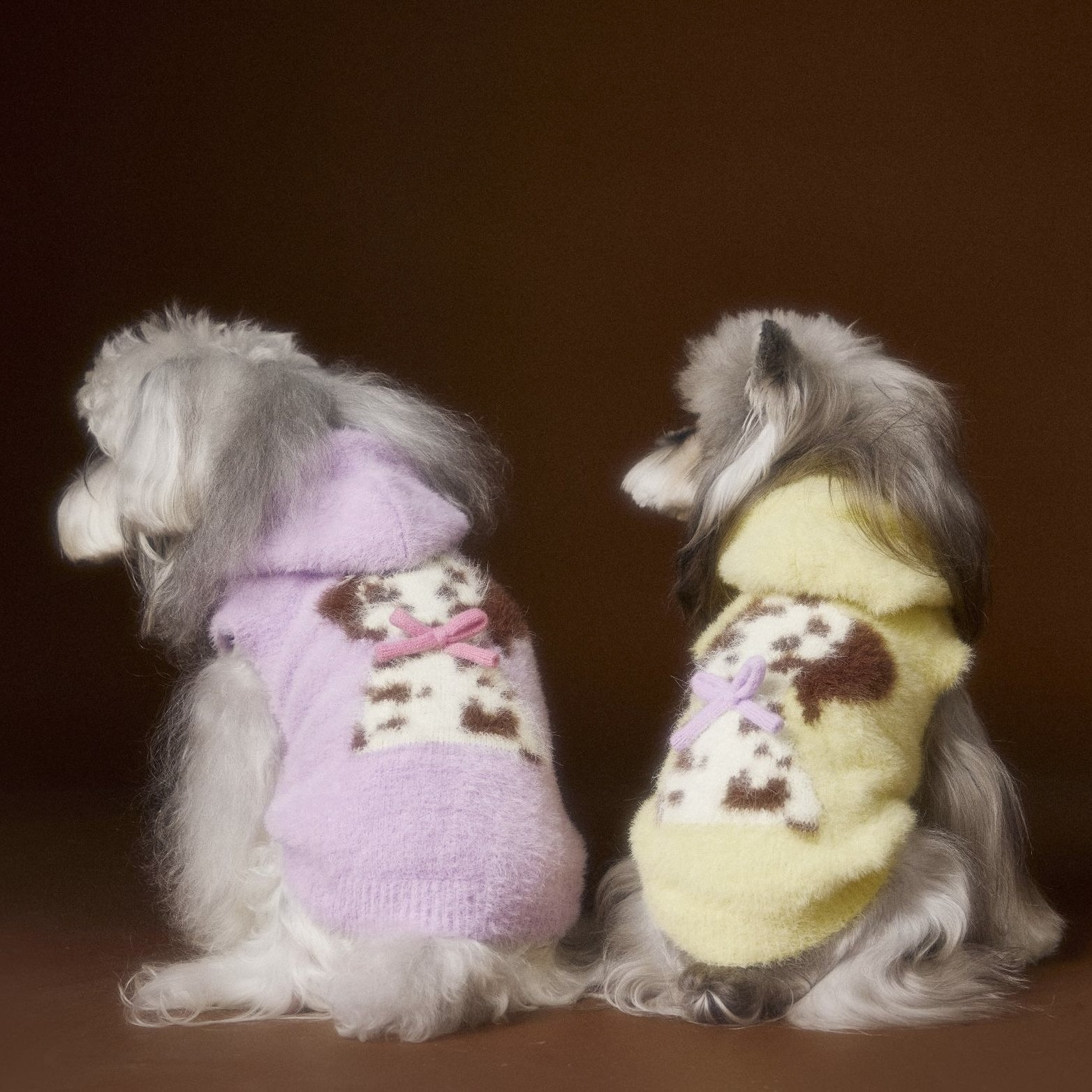 image_E4F493C8-878C-400F-AA04-F1B66993633D_1767693334