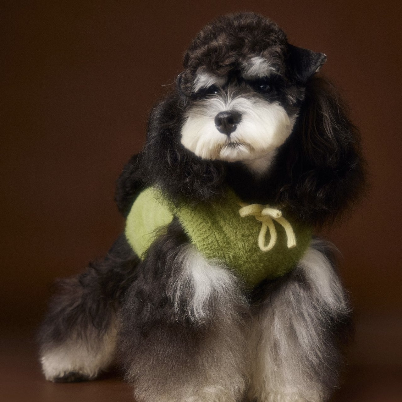 image_5EDBB656-A03A-45CF-BD2C-0FEC4AA48DD4_1767693761