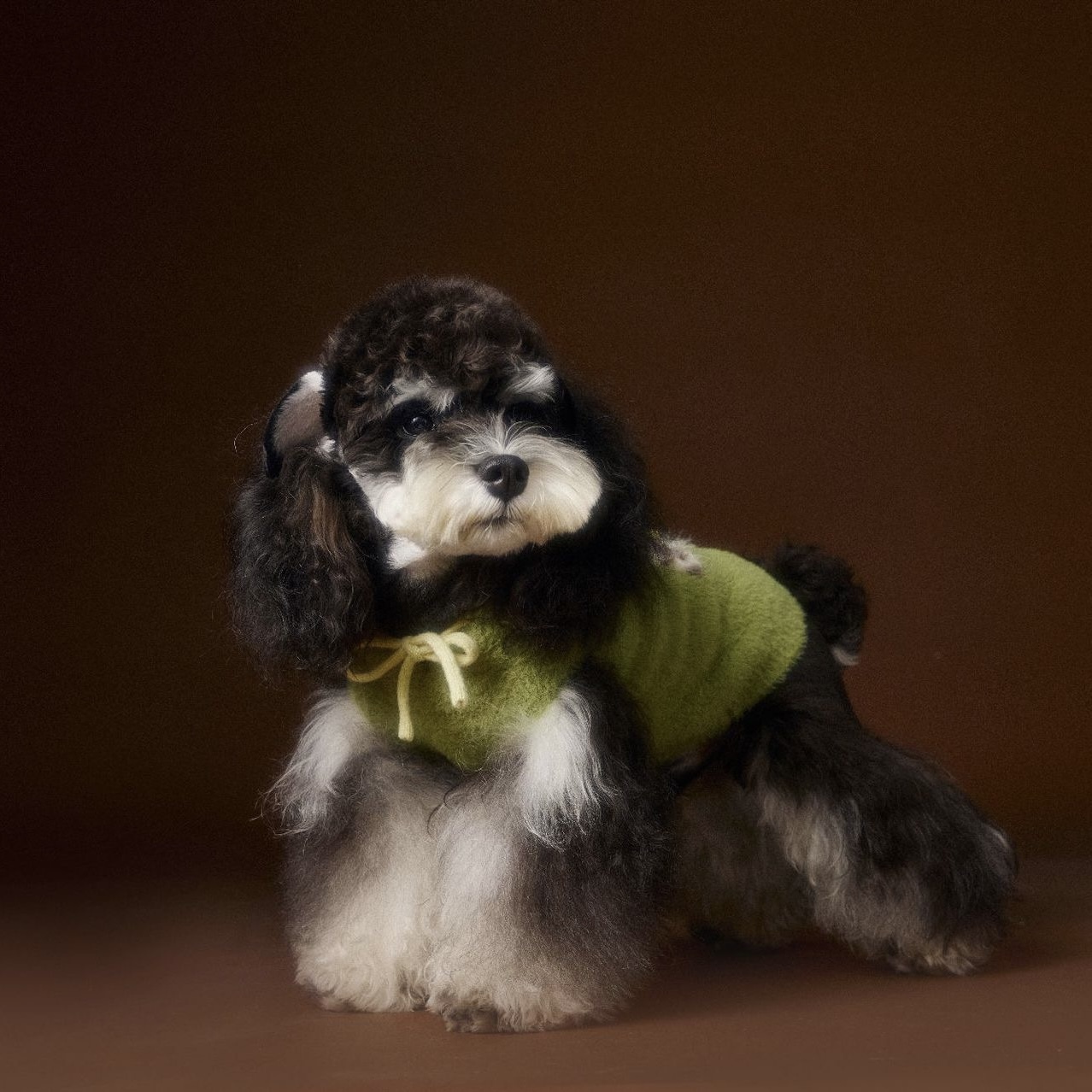 image_B93DB6E6-7CDD-405F-8A38-1B028A203306_1767693761