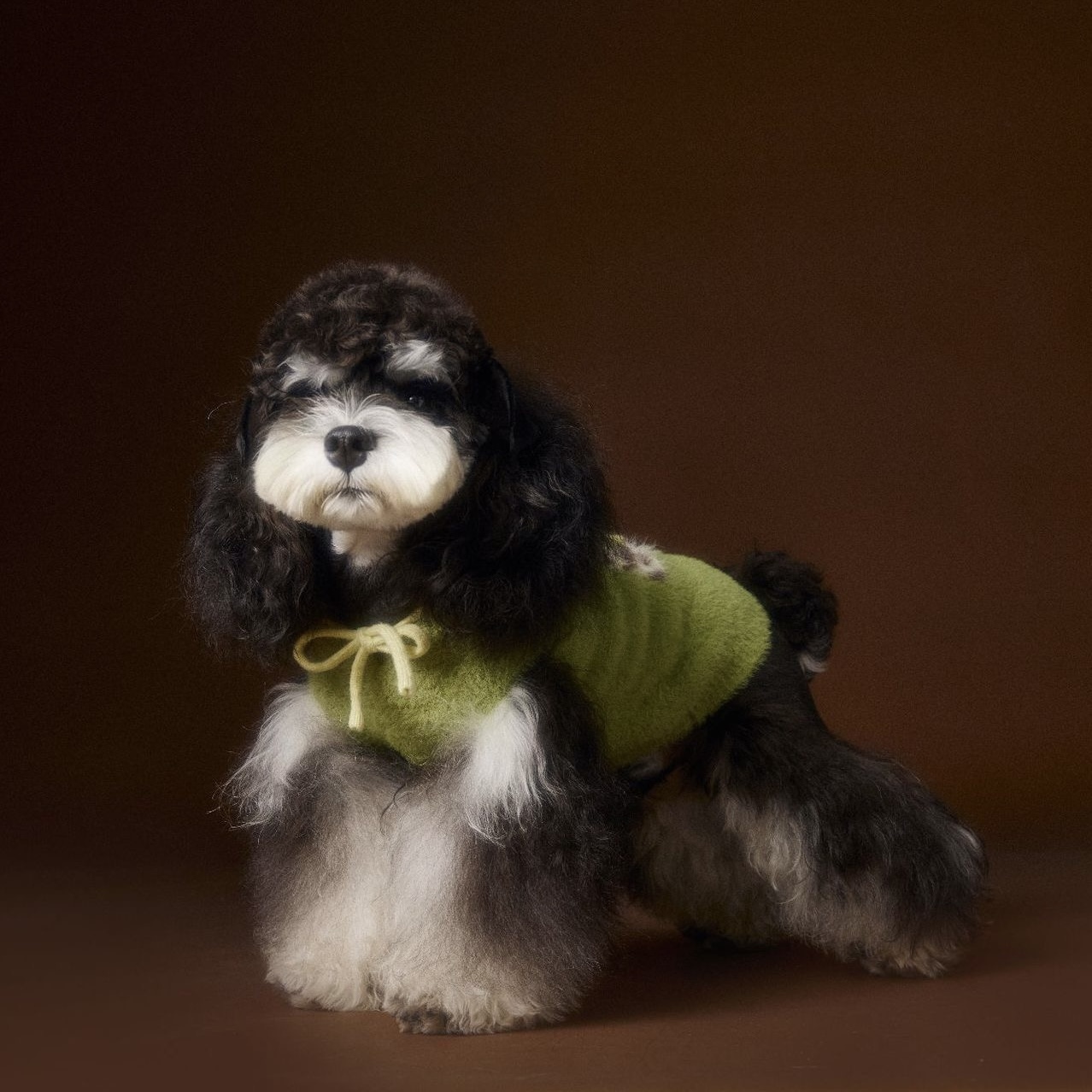 image_936B17ED-30BF-4107-BC71-FF1138BB1320_1767693761