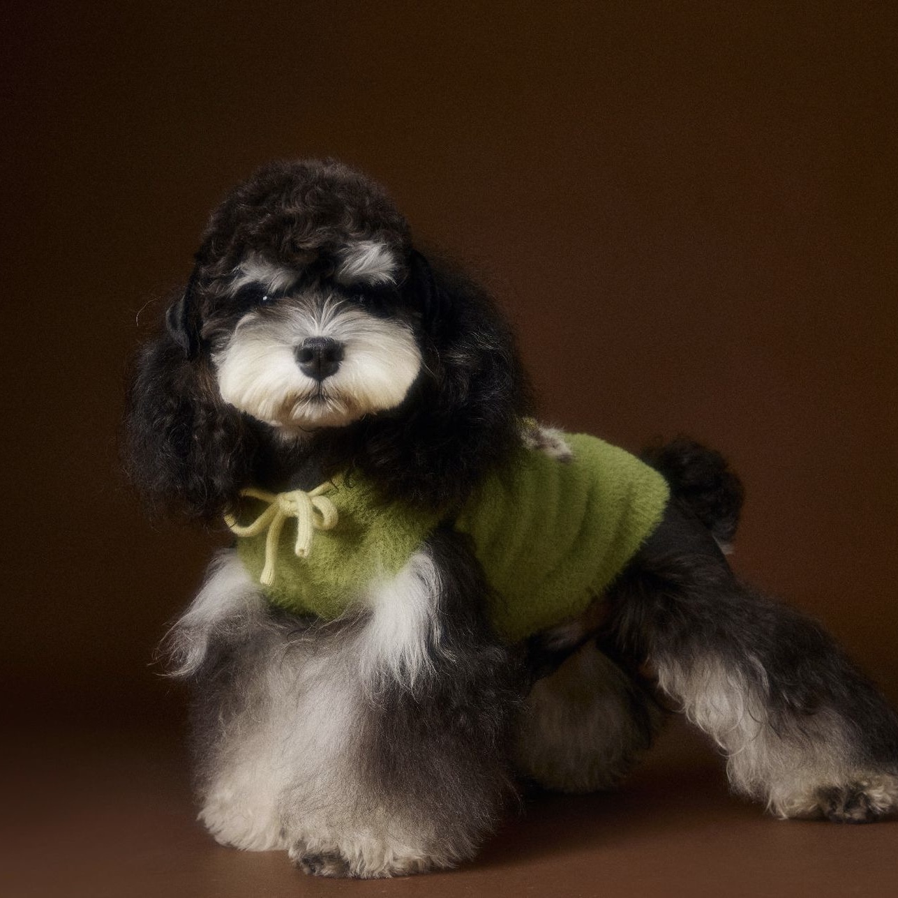 image_D2EC685E-7E20-4AAD-947C-6FF0A9D84832_1767693761