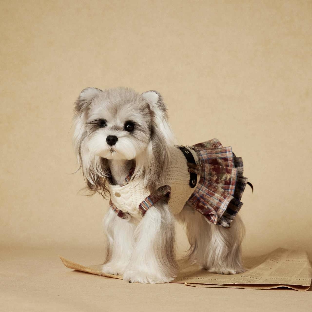 image_3211C854-2024-42FE-906F-096A2C669609_1767694981