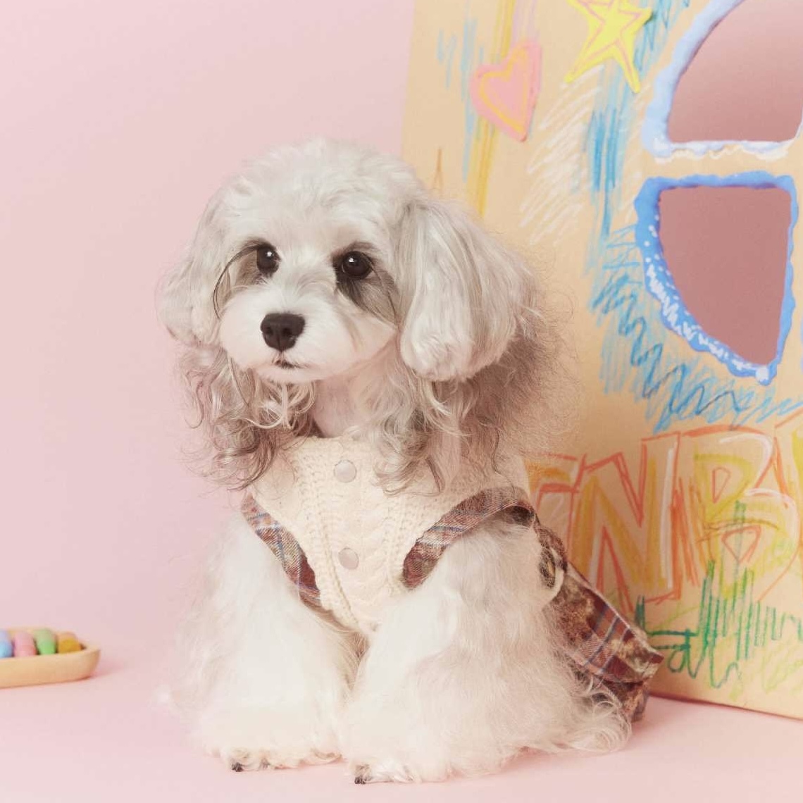 image_3C4F3F6B-4FEE-4B9F-8C1D-DE809C30F7A5_1767694981